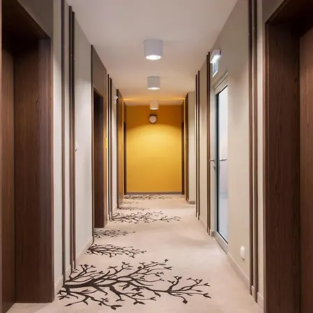 Buki & 3* Jastrzębia Góra