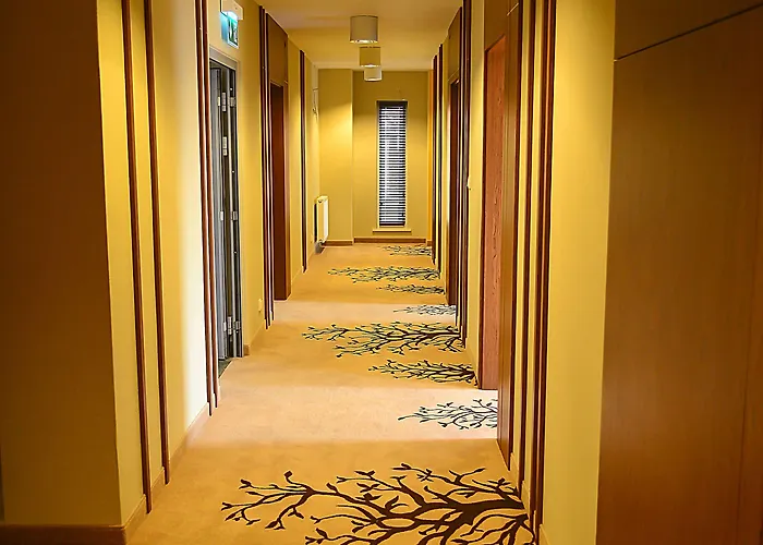 Buki & 4* Jastrzębia Góra